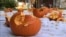 New York Man Smashes Pumpkins to Set Guinness Record