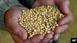 U.S. exports to China, including products such as soybeans, rose 3.8 percent in July, part of an overall upbeat trade report released by the Commerce Department on Friday. 