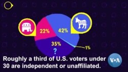Independent Voters Are There for the Issues, Not the Ideology