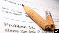 Figura en papel maché de Peer Steinbrueck, el principal candidato del patido Social Democrata de Alemania, como parte de un carnaval en la ciudad de Mainz. 