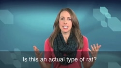 English in a Minute: Pack Rat