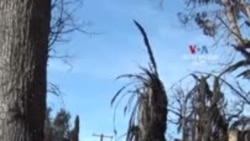 Լոս Անջելեսում տեղի ունեցած ավերիչ հրդեհներից մեծ թվով տներ և բիզնեսներ են այրվել 