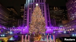 Legendarna novogodišnja jelka u Rokfeler centru u Njujorku (foto: Rojters)