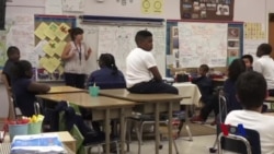 艺术项目 扭转学习