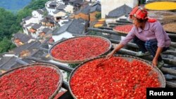 រូបឯកសារ៖ ស្ត្រីជនជាតិចិនម្នាក់កំពុងហាលម្ទេសនៅក្នុងភូមិមួយ ក្នុងស្រុក Wuyuang ខេត្ត Jiangxi ប្រទេសចិន កាលពីថ្ងៃទី២១ ខែកក្កដា ឆ្នាំ២០១៧។