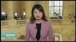 VOA连线(李逸华):伊拉克议员获得2016年兰托斯人权奖