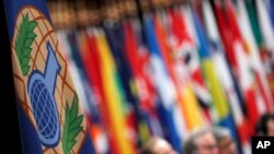 The logo of the Organisation for the Prohibition of Chemical Weapons (OPCW) is seen during a special session in the Hague, Netherlands, June 26, 2018. 