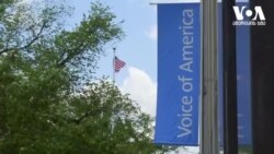 70 წელი დაარსებიდან - "ამერიკის ხმის" ქართული რედაქციის გუნდი