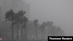 Badai Tropis Fred menghantam Santo Domingo. 