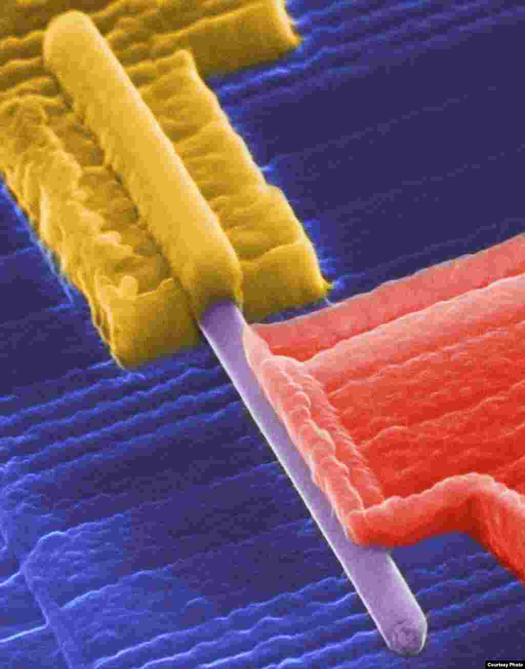 A team of physicists and chemists in the Netherlands provided the first solid evidence of the existence of particles that act as antimatter and annihilate themselves. (Mourik, K. Zuo, S. M. Frolov, S. R. Plissard, E. P. A. M. Bakkers, L. P. Kouwenhoven)