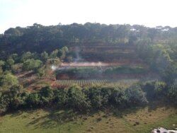 Some farmers in Vietnam are transitioning from agriculture to other kinds of work, creating questions about use of land, which is technically owned collectively in the communist nation.