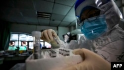 រូបឯកសារ៖ បុគ្គលិក​សុខា​ភិបាល​ម្នាក់​កាន់​សំណាក​ពី​អ្នក​ជំងឺ​កូវីដ១៩ មុន​ពេល​ធ្វើ​តេស្ត​ នៅ​មន្ទីរ​ពេទ្យ​កាកបាទ​ក្រហម នៅ​ទីក្រុង​វូហាន ប្រទេស​ចិន កាល​ពី​ខែ​មីនា។