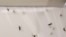 FILE - Mosquitoes live inside a stock cage in a mosquito laboratory at the London School of Hygiene and Tropical Medicine in London, May 30, 2013. Researchers at the school discovered that malaria-infected mosquitoes are more attracted to human odors.