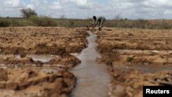 កសិករ​ម្នាក់​កំពុង​ធ្វើ​ការ​នៅ​ក្នុង​វាល​ស្រែ​មួយ​នៅ​ក្បែរ​ភូមិ Botor សាធារណរដ្ឋ Somaliland កាលពី​ថ្ងៃទី១៦ ខែមេសា ឆ្នាំ២០១៦។