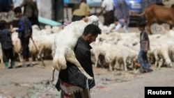 Seorang pria membawa hewan kurban di pasar ternak ketika warga Yaman merayakan Idul Adha di tengah krisis ekonomi, di Sanaa, Yaman. 