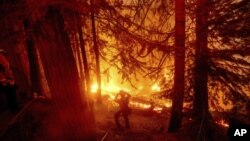 Vagtrogasci pokušavaju da ugase požar u zajednici Šejver lejk u Kaliforniji, 7. septembar 2020.(Foto: AP/Noah Berger)