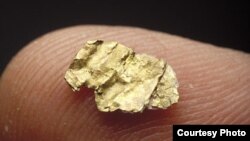 This nugget is believed to have started the California gold rush. Courtesy of the Smithsonian’s National Museum of American History.