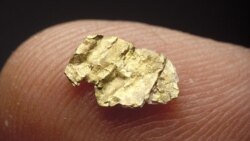 California Gold Rush Pulls Americans West