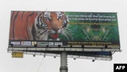 A angry youth protest in front of a burning barrier following the removal of a fuel subsidy by the government in Lagos, Nigeria, Tuesday, Jan. 10, 201. Angry youths erected a burning roadblock outside luxury enclaves in Nigeria's commercial capital Tuesda
