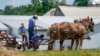 Many Amish in America Unsure About Vaccination