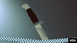 Seorang lelaki 21 tahun ditangkap atas tuduhan membunuh seorang perempuan dan mencederai seorang lainnya di Sydney, Australia, 13 Agustus 2019. (Foto: ilustrasi).