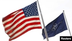 NATO va AQSh bayroqlari. Belgiya, 31-mart, 2017. 