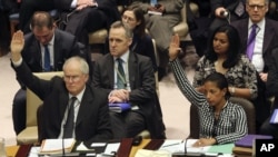 英国常驻联合国代表格兰特大使（左）与美国常驻联合国代表赖斯大使在表决时举手支持安理会有关朝鲜问题决议。（2012年1月22日）
