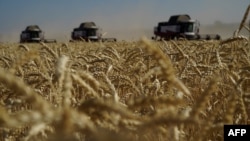 Donetsk, Ukraina, 7-iyul, 2022