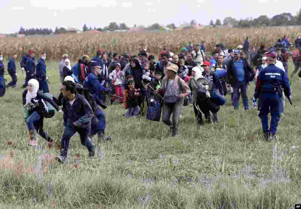 Muhojirlar Vengriya janubidagi lagerdan qochmoqda. 8-sentabr, 2015-yil. Vengriya politsiyasi qo&#39;shni Avstriyaga ketayotgan poyezdlarga chiqayotgan bu odamlarni jilovlashga ojizlik qilmoqda.