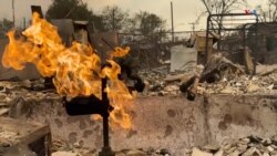 «Էդիսոն» էլեկտրաէներգետիկական ընկերության դեմ դատական հայց է ներկայացվել Կալիֆոռնիայի հրդեհների կապակցությամբ