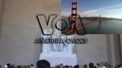 Amerika Manzaralari: Isroil-Falastin, sun'iy intellekt, Yosemite