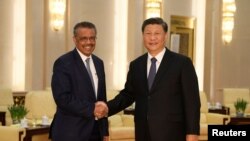 시진핑 중국 국가주석과 테드로스 아드하놈 게브레예수스 세계보건기구(WHO) 사무총장이 29일 베이징 인민대회당에서 만나 악수하고 있다. 