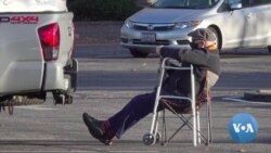 Unusual Bird Spectacle Has Humans Flocking to Parking Lot