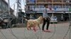 Kashmir's Main City a Maze of Razor Wire and Steel Barriers