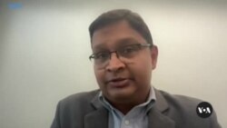 Can bees and dogs sniff out cancer better than machines?