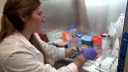 Quantum Dot Antibiotics Adapt as Fast as Superbugs