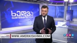 აშშ-სა და ევროკავშირს საქართველოში რუსეთის გავლენის ზრდა აშფოთებს