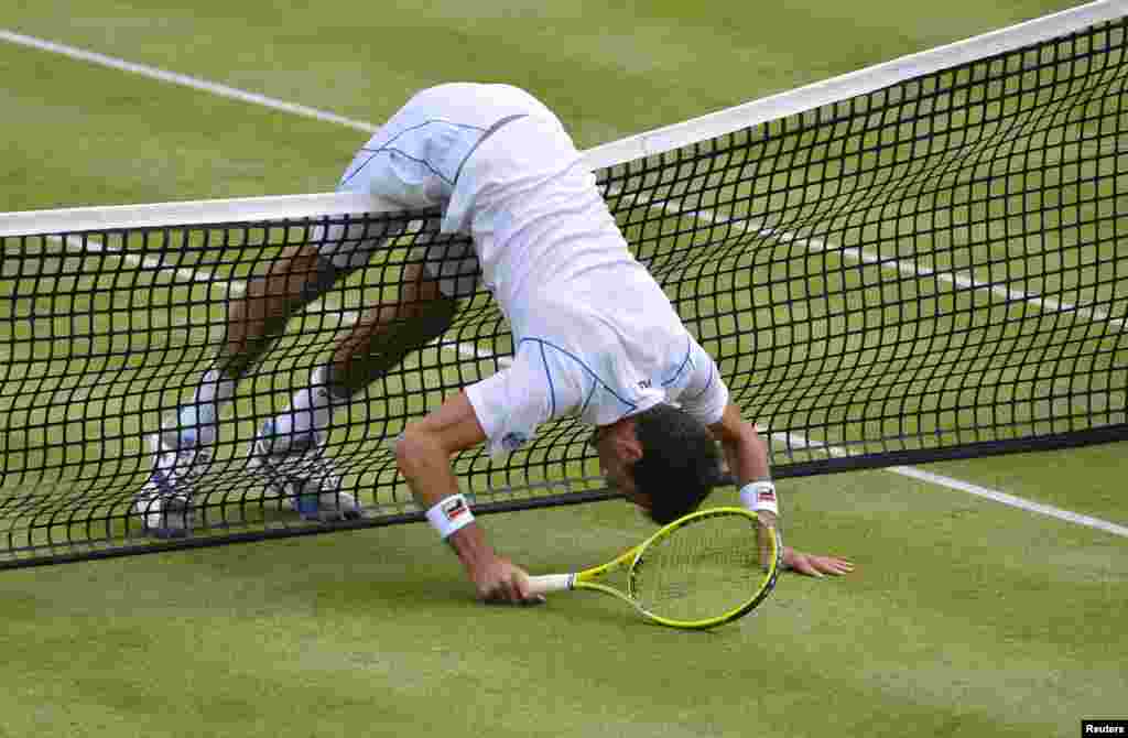 Petenis Inggris James Ward menabrak net dalam pertandingan melawan petenis Kroasia Ivan Dodig di di London.