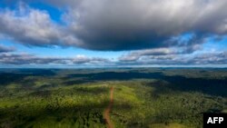 Vue aérienne de la route Transamazonica (BR-230) près de Medicilandia, État de Para, Brésil le 13 mars 2019 (photo de Mauro Pimentel / AFP)