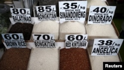 Different rice varieties are pictured at a food stall in the mountain resort of Baguio city in northern Philippines, April 17, 2016. The Philippines, with its PhilRice institute, has expertise and hundreds of strains of rice.