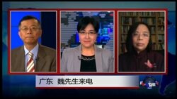 VOA卫视(2016年4月12日 第二小时节目 时事大家谈 完整版)