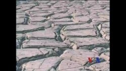 年终报道：气候变化