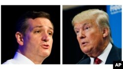 Senator Ted Cruz (kiri) dan Presiden Terpilih AS, Donald Trump (Foto: dok).