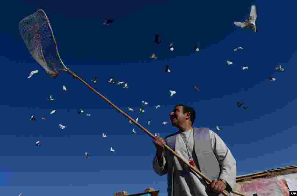 Nasir Mazaunin Garin Herat, A Kasar Afghanistan Na Kula Da Tantabarun Sa. &nbsp;