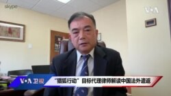 “猎狐行动”目标代理律师解读中国法外遣返