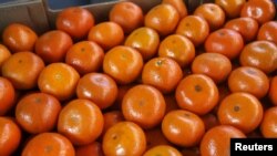 FILE - A box of tangerines is seen at a packaging warehouse of Hoja Redonda plantation in Chincha, Peru, Sept. 3, 2015. 