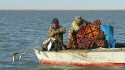 Markaziy Osiyo: Iqlim va atrof muhit bilan bog'liq masalalar tahlili - Navbahor Imamova