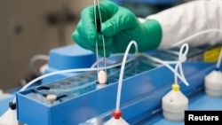 នៅក្នុង​រូប​ដែល​មិនបាន​បញ្ជាក់​ថ្ងៃថត​ដែល​ទទួល​បាន​ដោយ​ទីភ្នាក់ងារ​ព័ត៌មាន Reuters នៅ​ថ្ងៃទី១៦ ខែវិច្ឆិកា ឆ្នាំ២០២១ បង្ហាញ​អំពី ថ្នាំ​ឈ្មោះ Paxlovid ដែល​ជា​ថ្នាំគ្រាប់​សម្រាប់​ព្យាបាល​ជំងឺ​កូវីដ១៩ របស់​ក្រុមហ៊ុន Pfizer ផលិត​នៅក្នុង​ទីក្រុង Freiburg ប្រទេស​អាល្លឺម៉ង់។