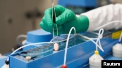 Paxlovid, pil COVID-19 Pfizer, terlihat diproduksi di Ascoli, Italia, pada 16 November 2021. (Foto: Pfizer via Reuters)