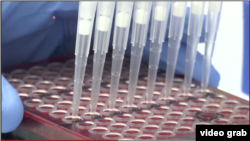 Pendekatan baru untuk mendeteksi keracunan makanan sedang digunakan untuk menyelidiki wabah bakteri E.coli baru-baru ini di selada romaine yang ditanam di negara bagian Arizona AS. (Foto: VOA-Faiza Elmasry/Videograb)